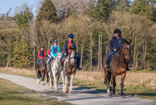 Ireland-Monaghan-Castle Leslie Equestrian Escape